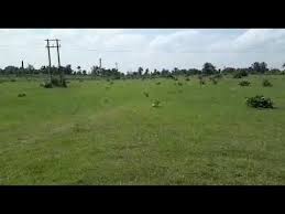 Only entertainment for my friends. 10 Bigha Land For Sale On Sh 2 Sunukpahari Chelama Mouza Bankura West Bengal Agricultural Land Land For Sale West Bengal