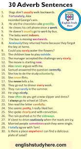Definition of adverb of time: 30 Adverb Sentences Example Sentences With Adverbs In English English Study Here