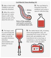 Cord blood does not place your child in any danger. Banking On Your Child S Future Is There Sufficient Legal Recourse Against The Unregulated Private Cord Blood Bank Industry Washington Journal Of Law Technology Arts