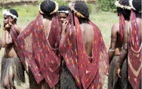 Gambar kartun baju adat bali pakaian adat kartun png gambar kartun memakai baju adat gambar kartun pakaian adat kalimantan gambar pakaian adat nama pakaian adat 34 provinsi gambar kartun pakaian adat jawa barat gambar kartun pakaian adat aceh. Pakaian Adat Papua Keunikan Penjelasan Dan Gambarnya