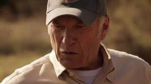 The Bridge (TV Series 2013–2014)