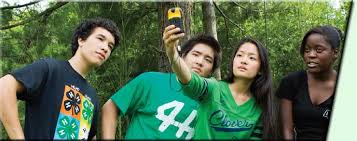 Image result for Fern Green 1952 Chrysler