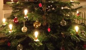 Christmas Tree Berlin Private Tours