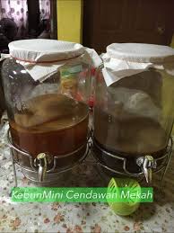 Cara pemakaian pil kb kombinasi sebenarnya mudah. Kebunmini Cendawan Mekah Posts Facebook