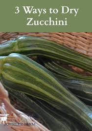 Steps to dehydrate zucchini with a food dehydrator. 3 Ways To Dry Zucchini Joybilee Farm Diy Herbs Gardening