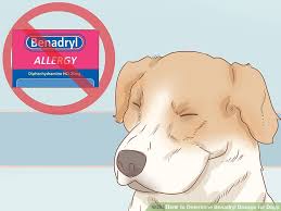 3 Ways To Determine Benadryl Dosage For Dogs Wikihow