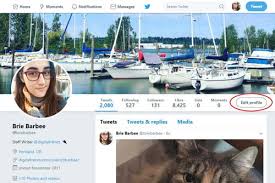 To do that, select your profile icon in the app. How To Change Your Twitter Name Digital Trends