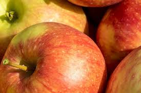Ogm ilanı başvuruları i̇şkur üzerinden yapılacak olup, başvuru şartları ve ilanın tüm detayları haberimizde. Karriere Ogm Obstgrossmarkt Mittelbaden Eg