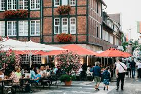 Odie insurance is an affordable pet insurance program administered by thorson specialty insurance services, inc. Expat Exchange Moving To Germany Moving To Germany Berlin Munich Frankfurt Hamburg Expat Germany