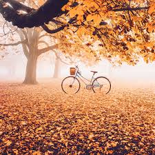 Kết quả hình ảnh cho mùa thu