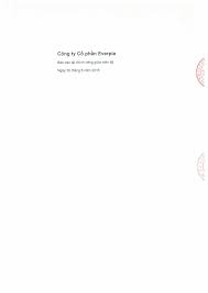 Công ty Cổ phần Everpia - Báo cáo tài chính riêng giữa niên độ