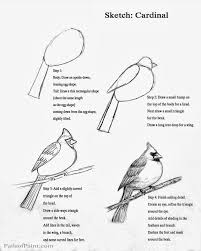 Sketch Bird On Branch Drawing Art Lesson Sketch Page Of A Cardinal Sketches Bird Drawings Drawings
