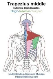 Pin On Nurse Stuff