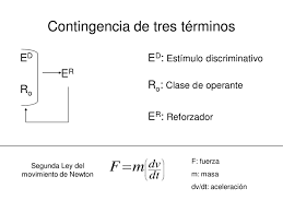 Mit flexionstabellen der verschiedenen fälle und zeiten ✓ aussprache . El Funcionamiento De La Contingencia De Tres Terminos Es Un Concepto Download Scientific Diagram