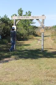 Holts Landing State Park Delaware Surf Fishing Com