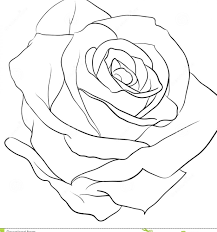 101 Best Rose Tattoo Ideas For Women Tattoo Ideas In 2021 Rose Outline Roses Drawing Flower Drawing