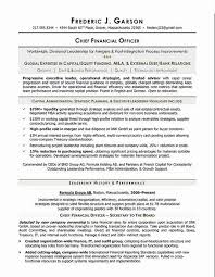 By building on the structure and organization of this ad and customizing it with your specific job duties and requirements, you'll turn those candidates into applicants. Chief Financial Officer Resume Example Awesome Executive Cute766