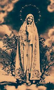 We ask that you please take five minutes to complete this survey about your experiences over the last year. All About Mary Lady Of Fatima Blessed Mother Divine Mother