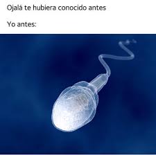 Jaidefinichon Meme Ese Meme Si te pregunta a que te refieres exactamente con eso de bien, deberias anadir algo. jaidefinichon meme ese meme