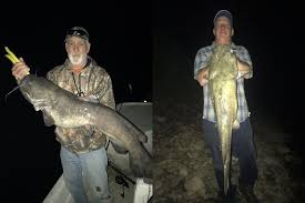 Flatheads feed mainly on live fish and crayfish. Flathead Fever Anglers Target A Monster Fish Now Inhabiting The Delaware River Lehighvalleylive Com