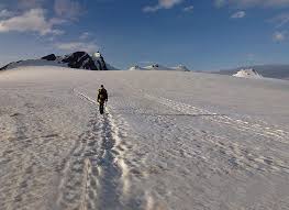 Open from 23th june 2021 to 19th september 2021 the hut is the highest hut in the ötztal alps and is situated on 3272 m. Hintereisspitze Mittlere Hochtour Brandenburgerhaus Otztaler Alpen Tourentipp Com