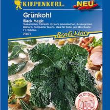 Bildergebnis für grünkohl pflanzen