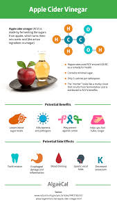 Past research suggests that downing this sour drink slows gastric emptying (the speed at which food moves from the stomach to the small intestine during digestion). Pin On Health Guides By Algaecal