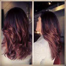 Pin By Emily Vieira On Hair Balayage Hair Black Hair Dye Hair