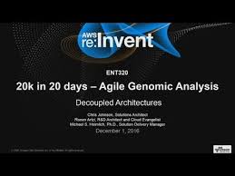 Container scheduling, execution, and integration with aws. Aws Re Invent 2016 20k In 20 Days Agile Genomic Analysis Ent320 Youtube