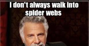 Spider Webs Meme Picture Webfail Fail Pictures And Fail Videos
