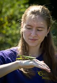 The front steps and walkway are providing quite a few leaf studies. The  colors in this one remind me of cinnamon.