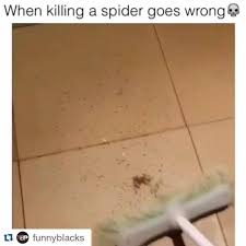 Albuquerque nm exterminator, pest control & termite inspector. Apex Pest Control Inc Home Facebook