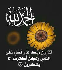 و إ ن ر ب ك ل ذ و ف ض ل ع ل ى الن اس و ل ك ن أ ك ث ر ه م ل ا ي ش ك ر ون الحمد لله على النعم دائ islamic pictures calm artwork keep calm artwork