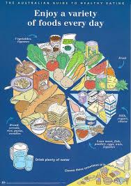 eating healthy food pie chart food healthy eating