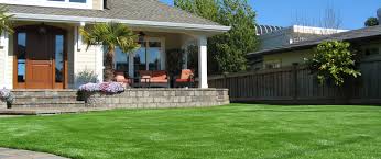 Maybe you would like to learn more about one of these? Artificial Grass In Toronto Everything You Need To Know Bella Turf