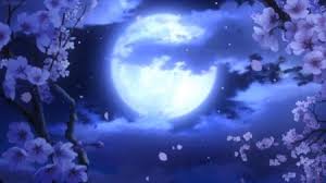 Image of customize download it for free anime sakura tree. Wallpaper Night Wallpaper Anime Cherry Blossom Tree Novocom Top