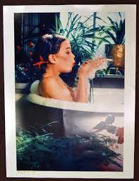Garry gross, richard prince and the story beh. Lot Gary Gross Brooke Shields Photograph