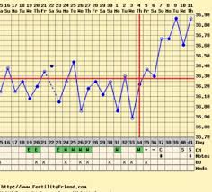 Opinions On My Chart Temp Up And Bfp At 12 Dpo Trying For
