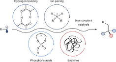 Exploiting attractive non-covalent interactions for the ...