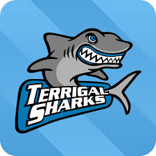 VIDEO: RLCC Round 12