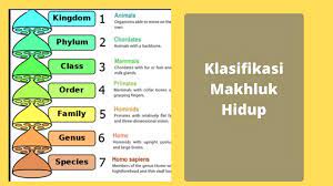 Seperti namanya, ilmu ini mengkhususkan pada penelitian tentang sel yang mempelajari tentang klasifikasi makhluk hidup disebut dengan taksonomi. Pengertian Klasifikasi Makhluk Hidup Kingdom 1 6 Artikel Lengkap