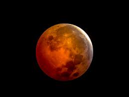 Where to buy mitsubishi eclipse in the philippines. How To View The Total Lunar Eclipse In 2021 Martha Stewart