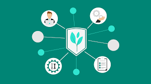 » how to put a picture on your signature. Accenture Github Microsoft And Thoughtworks Launch The Green Software Foundation With The Linux Foundation To Put Sustainability At The Core Of Software Engineering The Official Microsoft Blog