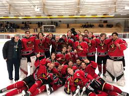 2012 i european trophy och säsongen 2014/2015 i chl. Lulea Hockey On Twitter Lulea Hockey Vinnare Av Dm For U16 Efter Fem Vinster Pa Fem Matcher I Slutspelet