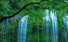 Tidak hanya dapat melindungi rumah dari sinar matahari, pohon bambu juga bisa menambahkan nilai estetika rumah dan pekarangan kamu. Temukan Gambar Wallpaper Hd Keren Dan Unik Untuk Latar Belakang Komputer Handphone Websitemu Gratis Download Now Ala Pemandangan Wallpaper Alam Latar Belakang