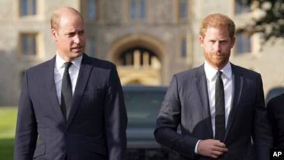 Prince Harry's Memoir Sheds Light on Bust-ups Among British Royals
