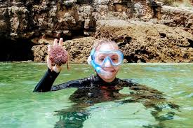 Meer profielen weergeven minder profielen weergeven anderen hebben ema quintal genoemd emma quintal hill. Snorkelavontuur In Arrabida Met Transfer Vanuit Lissabon 2021