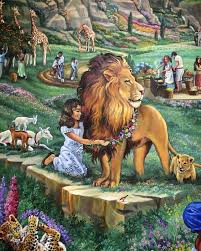 Every white cat's uniforms are 'white'. Cats In The Bible Poc