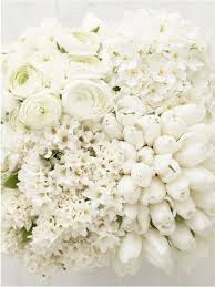 Cspirit Photo White Flower Arrangements Beautiful Flowers White Flowers