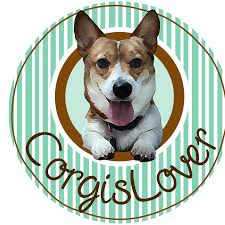 Check out our dancing corgi selection for the very best in unique or custom, handmade pieces from our shops. The Queens Corgi Home Facebook